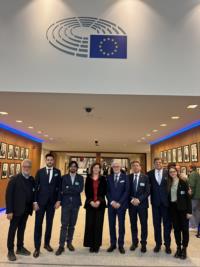 Afds Parlamento Europeo (2) 